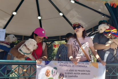 Grupos defensores de los animales de compañía realizaron un plantón para exigir cambios en la normativa vigente sobre el cuidado y protección de perros y gatos.