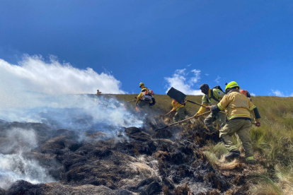 90 hectáreas de pajonal fueron consumidas por el fuego.