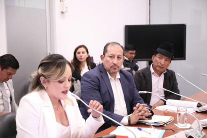 Consejera dijo que las denuncias en su contra son falsas y que responden a una maniobra política.