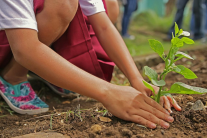 El objetivo principal de esta celebración es sensibilizar a la población sobre temas ambientales clave
