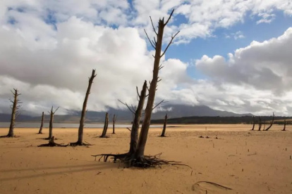 La desertificación es uno de los mayores problemas ambientales del planeta.