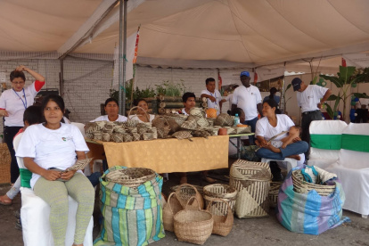 Las manos hábiles de las mujeres chachis tejn la artesanía que luego llega a los mercados.