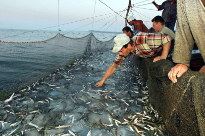 Pescadores rumanos en el mar Negro.
