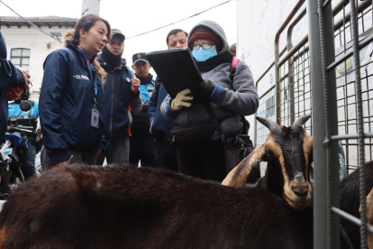La AMC emitió tres actas de advertencia contra los tutores.
