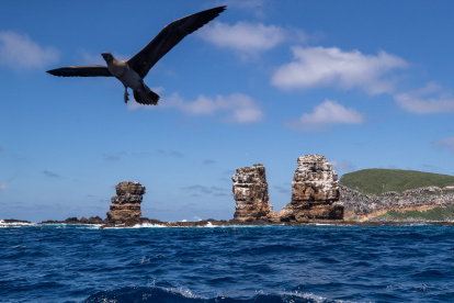 La isla Darwin, la más al norte del archipiélago Galápagos (Ecuador).