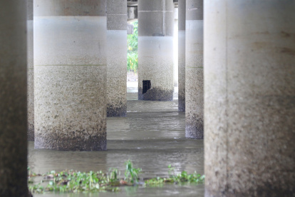 Daños. De los más de 60 pilares que sostienen este puente, 10 de ellos tienen huecos, que permiten observar las vigas y metales que forman su esqueleto.