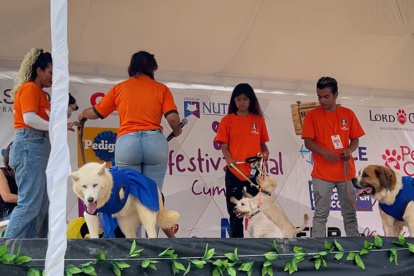 Este gran equipo de voluntarios agradecen estos espacios de difusión