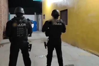 Los operativos se realizaron en seis provincias del país.