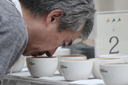 Un juez participa en la cata internacional "Best of Panama".