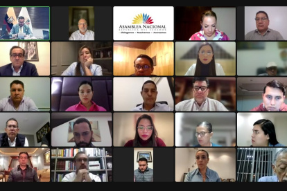 Mediante sesión virtual, el Pleno de la Asamblea trató el informe para el primer debate de la Ley Orgánica para la Aplicación de la Consulta Popular y Referéndum.