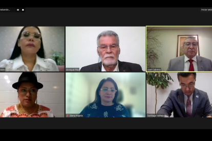 Los consejeros del CNE retomarán este 11 de junio la sesión 40, para resolver sobre la inscripción de movimientos y partidos políticos.