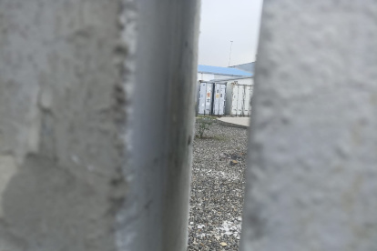 La puerta del segundo contenedor, el cual no refrigera hace 22 días, está entreabierto. En él hay cadáveres en estado de descomposición.