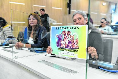 Animalistas asistieron a la sesión de la Comisión de Salud en el Concejo.
