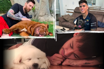 Lionel Messi, Piero Hincapié y Neymar con sus mascotas.