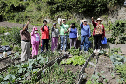 Propuesta. El taller busca incentivar el consumo de alimentos saludables.