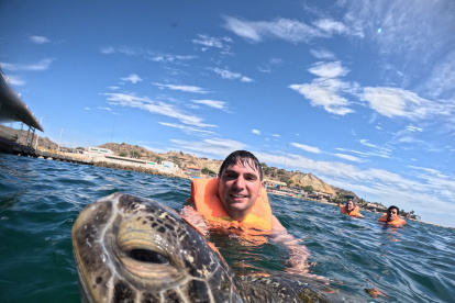 En Canoas de Punta Sal se puede nadar junto a tortugas.