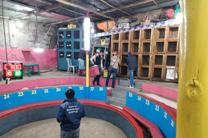 Al menos 24 aves estaban en jaulas.