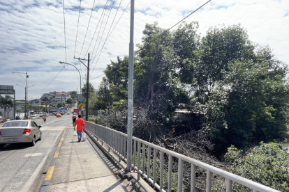 Afectación. El manglar ha sido talado y reducido a favor de edificaciones, alterando el ecosistema y perjudicando al medio ambiente y a la ciudad.