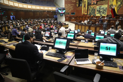El Pleno de la Asamblea aprobó en primer debate la modificación al artículo 119 de la Constitución.