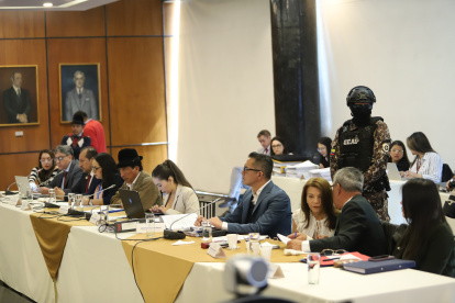 Wolman Terán y Maribel Barreno asistieron a la sesión sobre la presentación de pruebas en el juicio. Xavier Muñoz se encuentra conectado vía telemática.