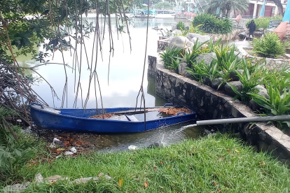 PARQUE FORESTAL..... FD MIGUEL CANALES... 18.06.2024