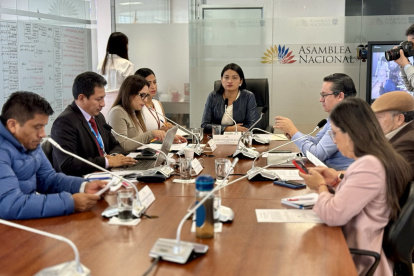 Comisión de Gobiernos Autónomos, Descentralización, Competencias y Organización del Territorio de la Asamblea Nacional.