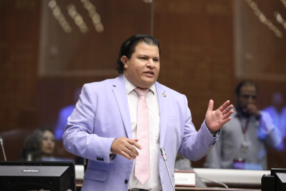 El legislador de Construye planteó la moción que se aprobó con 93 votos.