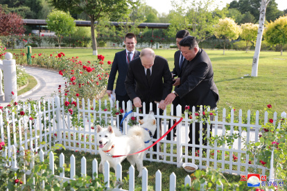 Pionyang. Vladimir Putin con uno de dos los perros obsequiados por el líder  norcoreano, Kim Jong-un.