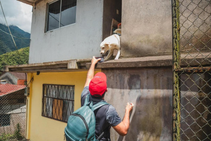 Voluntarios del Proyecto Ánimal de Pastaza recorren identificando a las mascotas abandonadas y en vulnerabilidad.