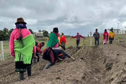 En los sectores rurales se realizan los huertos orgánicos por parte de la Municipalidad de Latacunga.