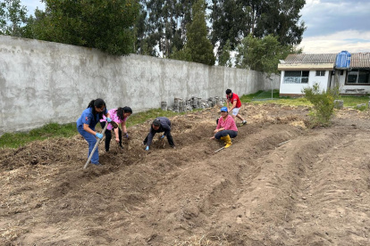 Huertos. Con ellos se apunta a mejorar la alimentación y revertir el problema.