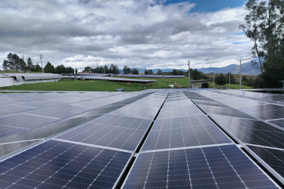 La cadena de comida rápida