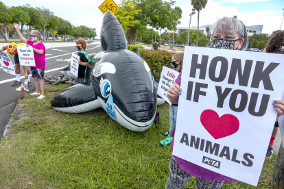 Miami. Personas protestas en las afueras del Miami Seaquarium.