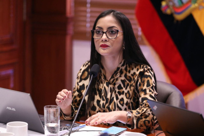 La sesión del pleno de la Asamblea Nacional fue virtual y dirigida por la primera vicepresidenta, la correísta Viviana Veloz.