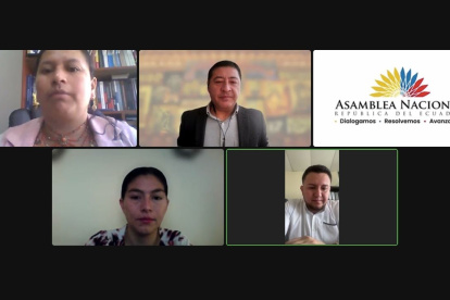 La sesión de la Comisión se desarrolló de forma virtual.