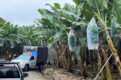 Las tres víctimas habrían sido torturadas y posteriormente ejecutadas.