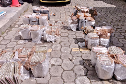 Un total de 40 paquetes de marihuana fueron incautados en un control realizado