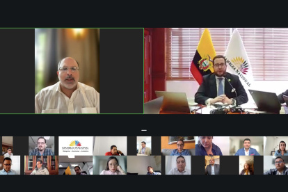 Asamblea. La sesión fue virtual. El último y definitivo debate sobre el proyecto de ley para la aplicación de la consulta popular tuvo lugar este martes.