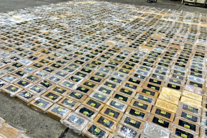 Evidencia. Las tres toneladas de droga fueron escondidas en cargamento de banano.