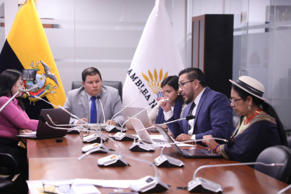 El presidente de la comisión ocasional, Jaime Moreno anunció que la sesión continuará el próximo viernes, con otras autoridades y actores del sector salud.