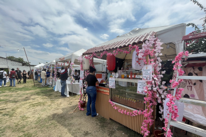 Los varios stands de comida ofrecen diversidad de platos y bebidas asiáticas y temáticas