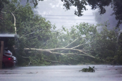 Un árbol caído derribado por el viento y la lluvia del huracán Beryl en Houston, Texas