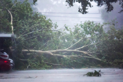 Un árbol caído derribado por el viento y la lluvia del huracán Beryl en Houston, Texas.