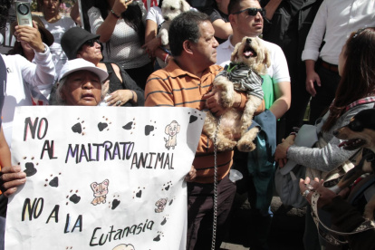 Los ciudadanos que participaron en la marcha rechazaron la eutanasia que ha aplicado la Unidad de Bienestar Animal (UBA) a los animales rescatados.