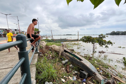 Afluentes. Varios ríos están contaminados. A orillas del río Samborondón se puede observar la basura que hay en él.
