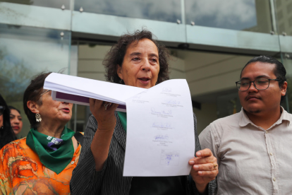 La presidenta de la Coalición Nacional de Mujeres del Ecuador, Miriam Ernst (c), junto a integrantes de organizaciones feministas de Ecuador, presentan una demanda ante la Corte Constitucional este martes en Quito (Ecuador).