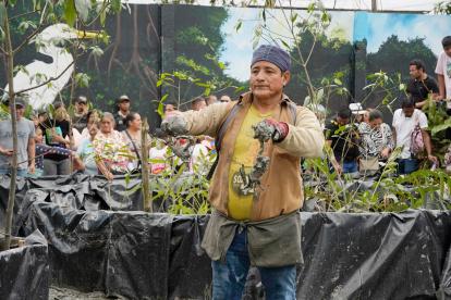 El evento en este 2024 contará con la recreación de un manglar viviente.