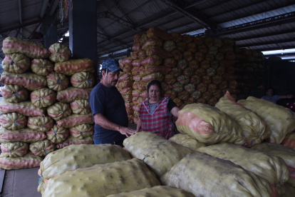 Montebello. Uno de los locales de papa que hay en el Mercado de Transferencia y Víveres, en Guayaquil