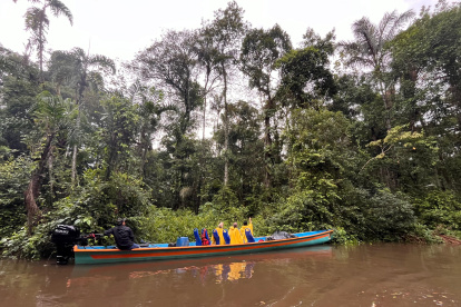 Río. En el río Cuyabeno, de acuerdo con investigaciones, los peces están contaminados con metales pesados.