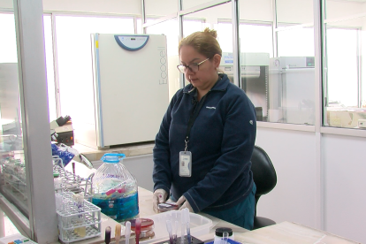 La publicación concluyó